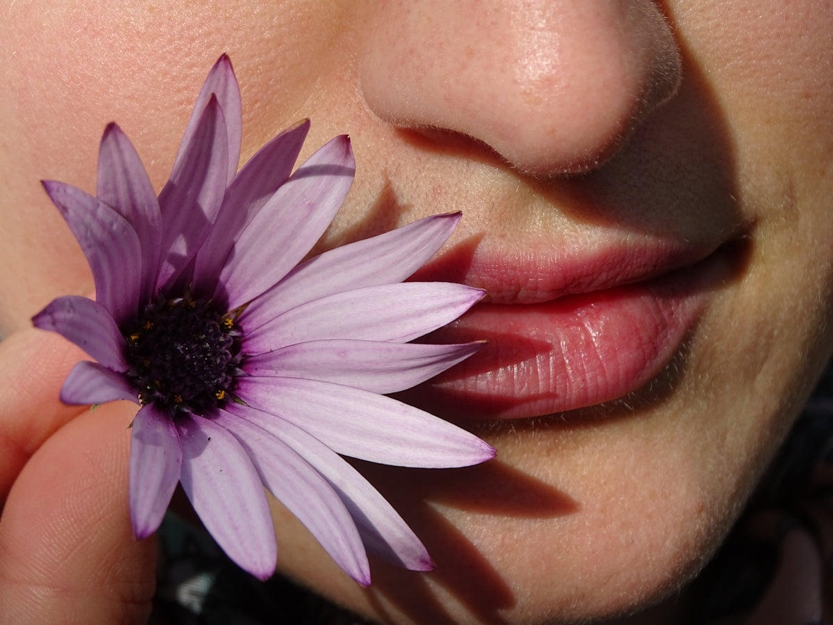 woman with pink and white flower on her face