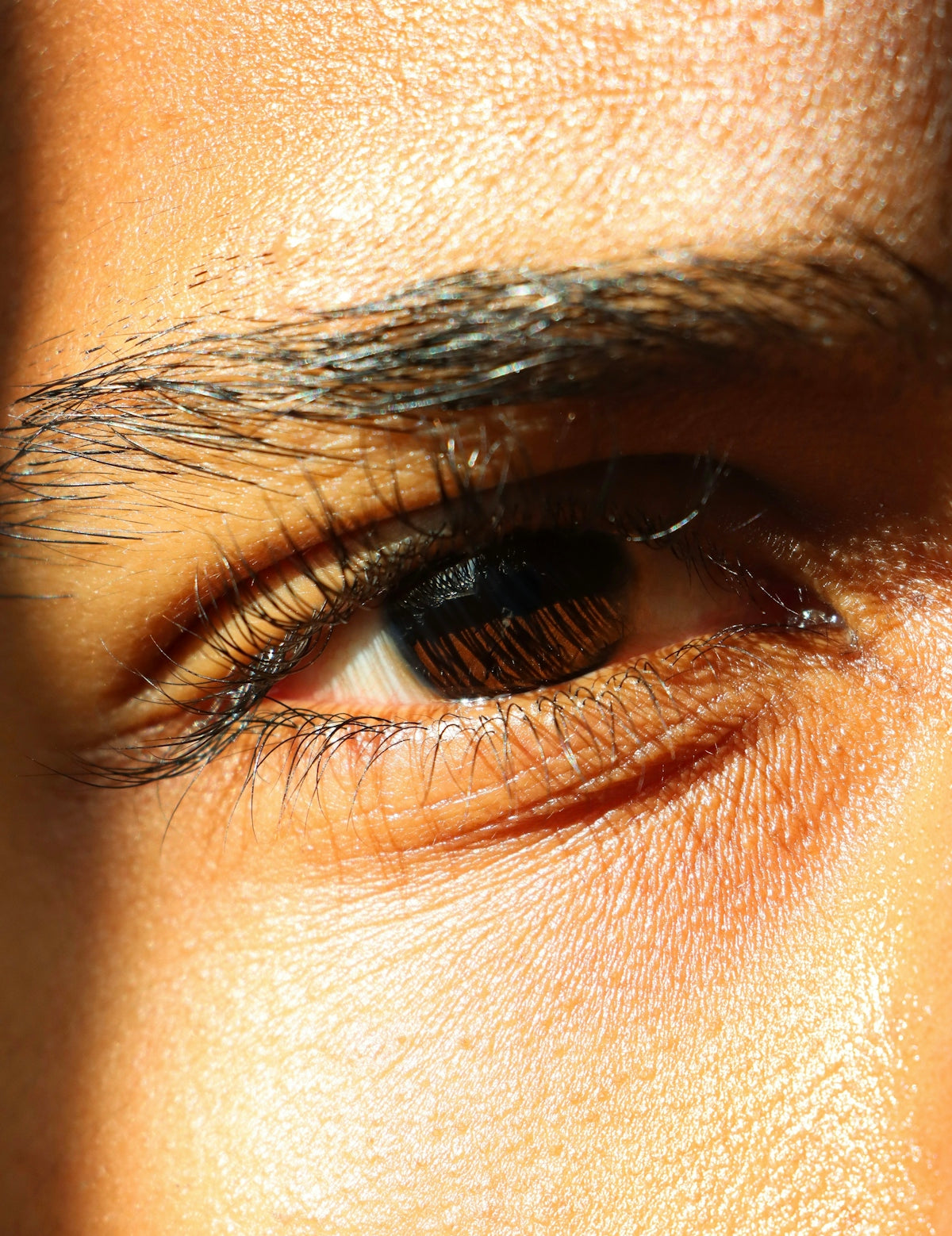 a close up of a person's brown eye