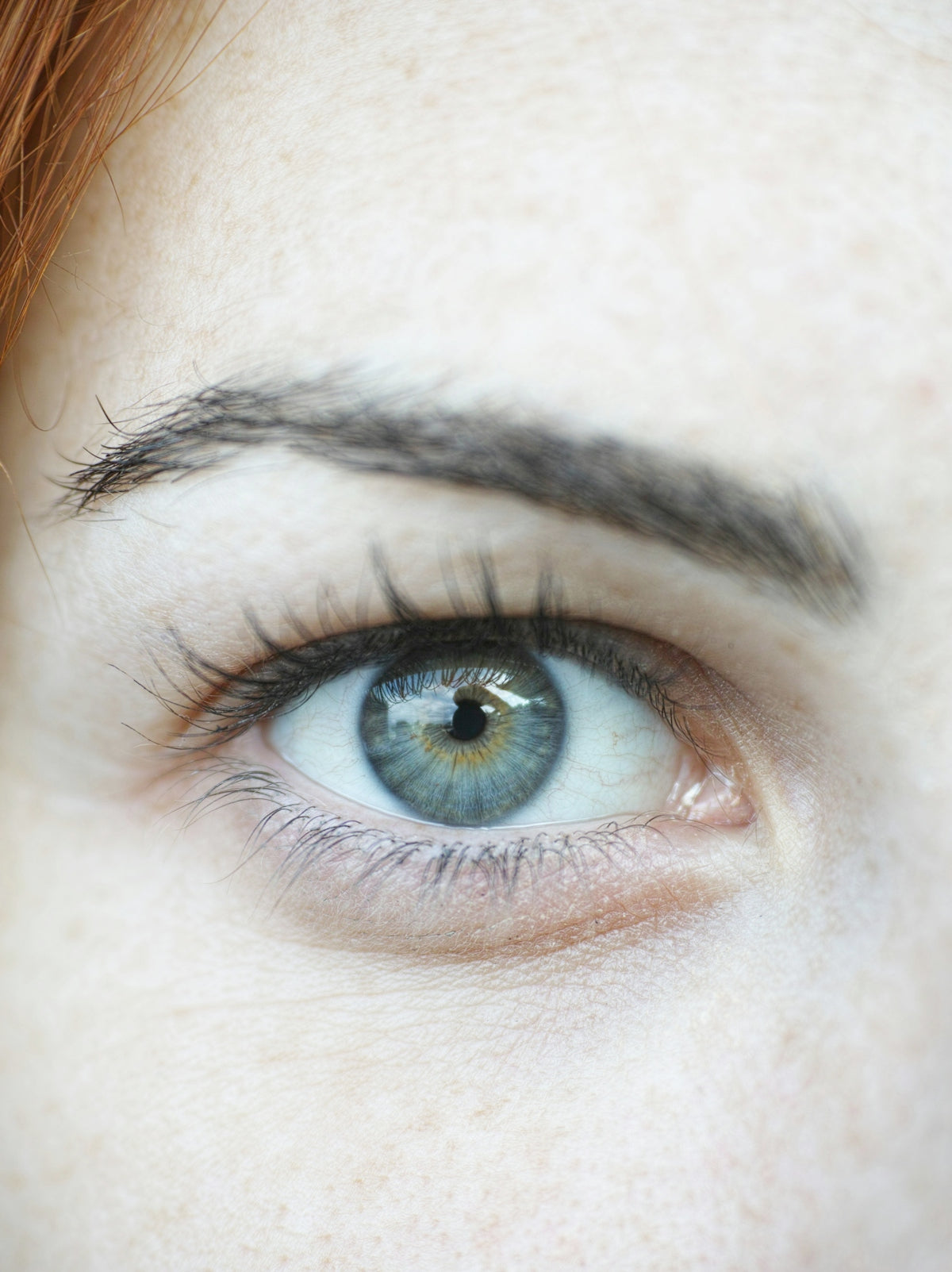 persons blue eyes in close up photography