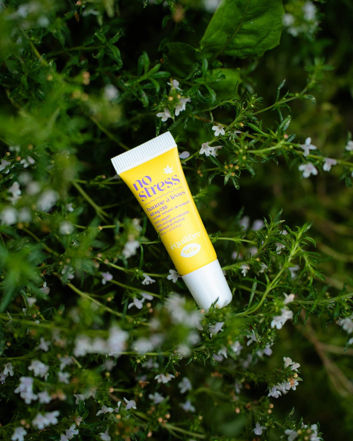 a tube of lip bale sitting on top of a bush