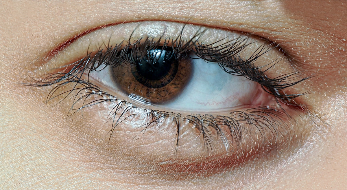 A close up of a woman's brown eye