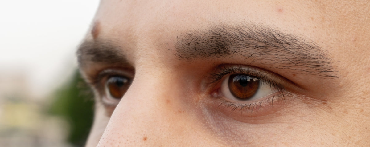 Close up of a person's brown eyes and eyebrows